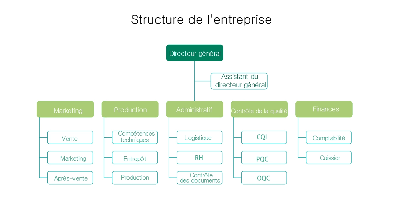 Structure de l'entreprise